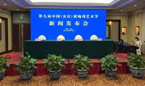 安庆市新闻头条直播,聚焦最新动态，直播解读热点事件