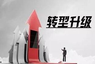 浙江农创新闻头条文章,聚焦农业科技突破，助力乡村振兴新篇章