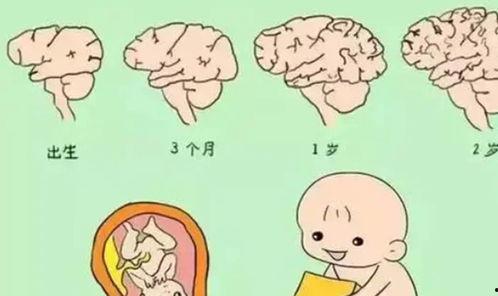 3岁怎么看孩子是不是读书的料,早期迹象揭示孩子是否具备读书天赋