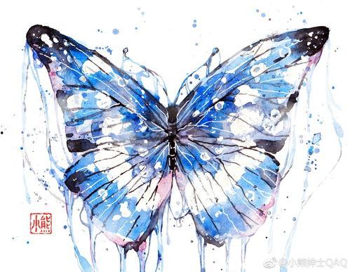 怎么看画师无心的黑料,真相与误解的交织