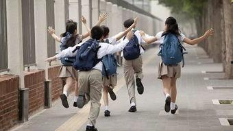 网红朱晨曦在哪里上学