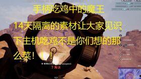 童小呆瓜吃鸡,童小呆瓜的欢乐吃鸡之旅