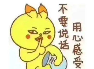 用心吃瓜憋说话,默默品味人生