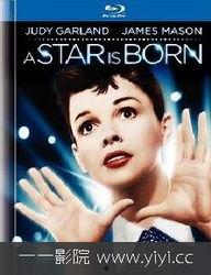 众多明星落泪视频合集,明星感人落泪瞬间大盘点