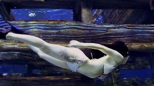 潜水视频欧美美女网红,欧美美女网红潜水瞬间，惊艳全球观众