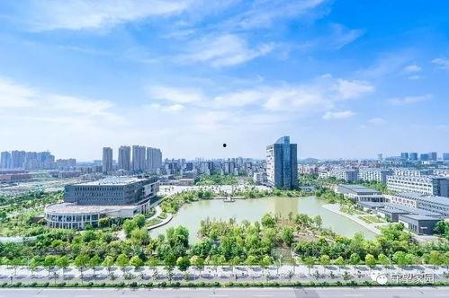 徐州吾乡新闻头条,聚焦家乡发展，共话乡村振兴新篇章